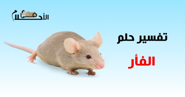 رؤية الفار بالمنام