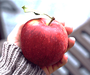 اكل التفاح في المنام