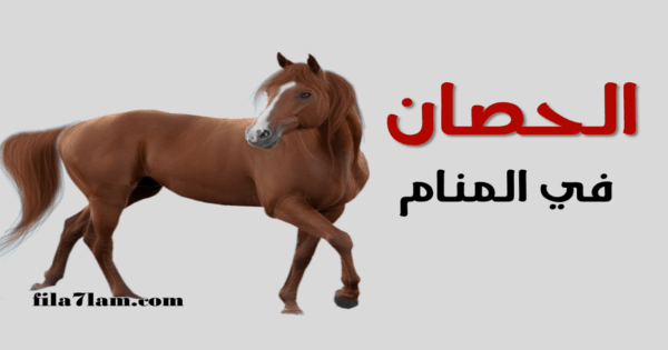 تفسير حلم الحصان في المنام