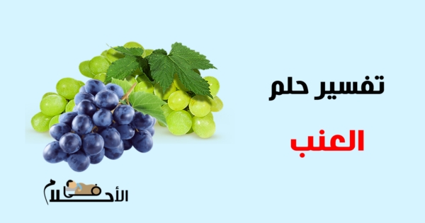 عنب قطفة عــنب /