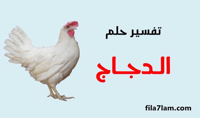 تفسير حلم الدجاج