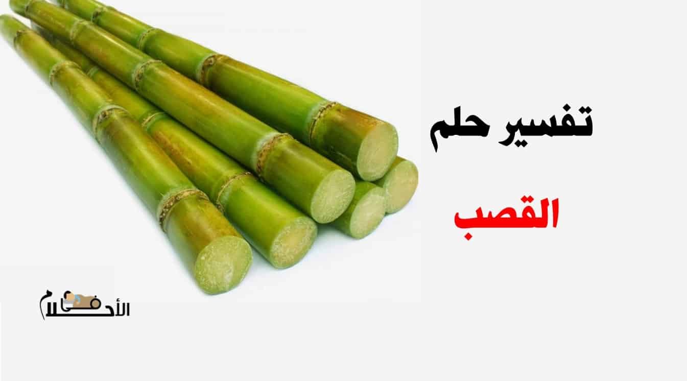 تفسير حلم شراء ارض