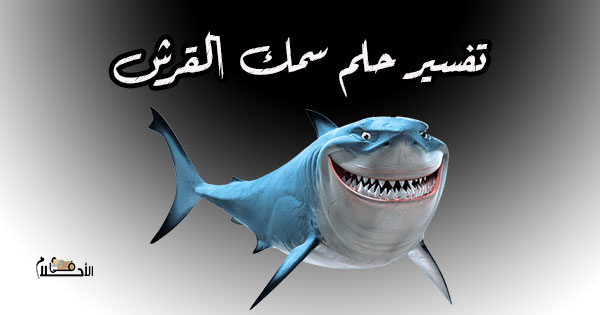 عامل منجم تاجر هياج  فحص إيويل حل رمز سمك القرش في المنام - alent.org