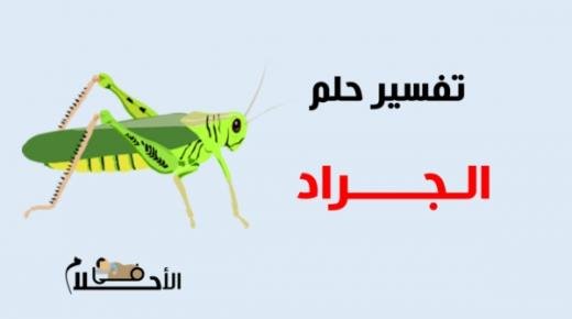 تفسير حلم البخور في المنام ورؤية المبخرة في المنام للرجل والمرأة في الاحلام