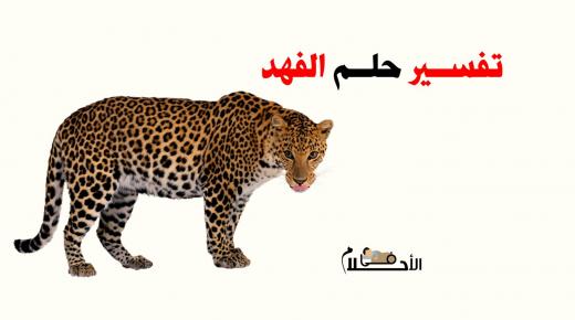 مطلقه حي الفهد