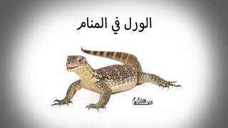 الورل في المنام